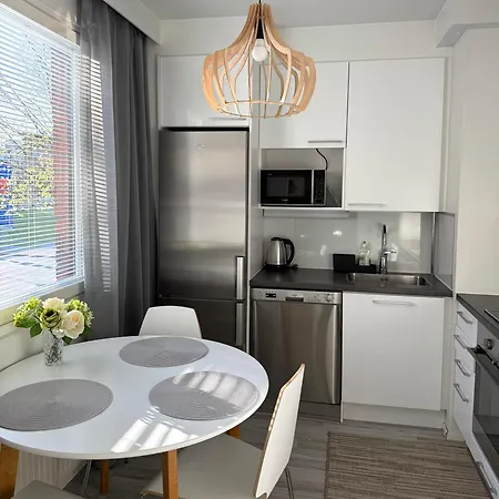 Kaunis Keskustayksioe Parvekkeella,wifi,free Parking Lappeenranta