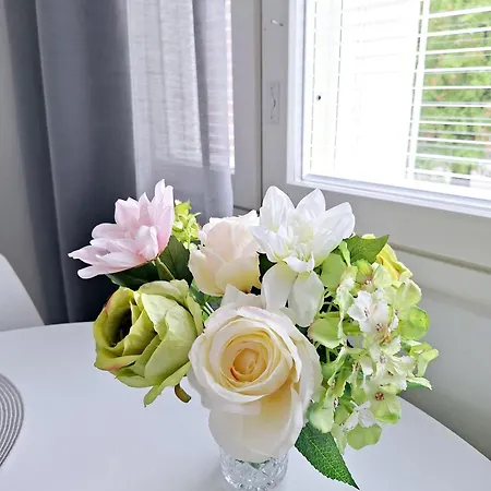 Apartament Kaunis Keskustayksioe Parvekkeella,wifi,free Parking