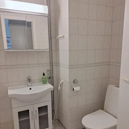 Apartament Kaunis Keskustayksioe Parvekkeella,wifi,free Parking *