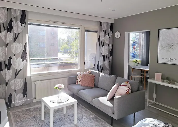 Kaunis Keskustayksioe Parvekkeella,wifi,free Parking