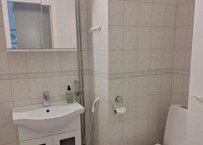 Apartamento Kaunis Keskustayksioe Parvekkeella,wifi,free Parking *